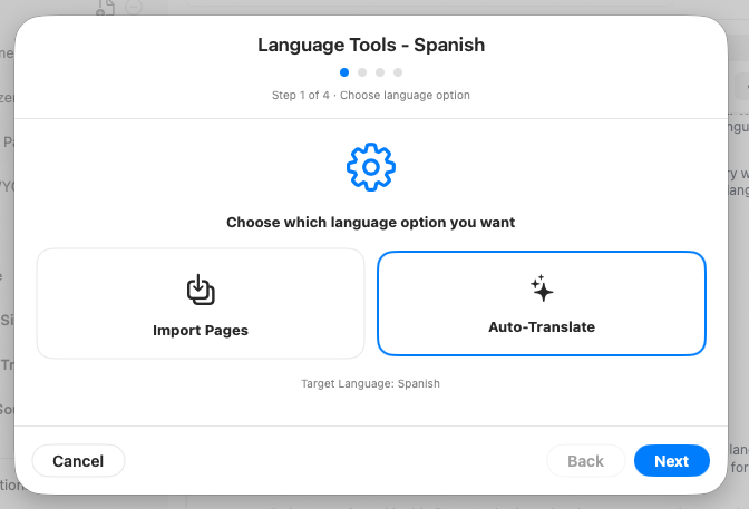 Auto-translate language workflow